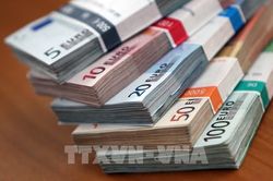 Chuyên gia: ECB cần có chính sách tiền tệ mới