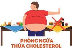 Thừa cholesterol có khả năng gây ra những bệnh gì?