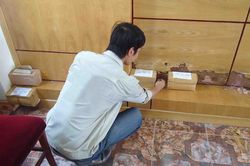 Dịch vụ phòng chống mối, diệt mối tận gốc uy tín tại Hải Dương của Diệt Mối 24H