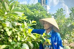 Thêm cơ chế hỗ trợ HTX giải thể