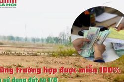 Những trường hợp được miễn 100% tiền sử dụng đất từ 1/8
