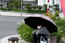 Nhiều cá thể rùa bày bán sai quy định trên tuyến phố TP Tuy Hòa
