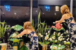 Vợ của diễn viên Mạnh Trường cắm hoa sen như một khu vườn trong nhà, bí quyết cắm sen nở căng không khó