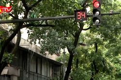 Câu chuyện về chiếc đèn giao thông
