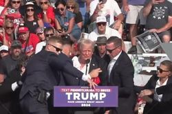 Cựu Tổng thống Mỹ Donald Trump bị thương sau vụ nổ súng khi đang vận động tranh cử