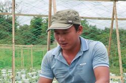 Lâm Đồng: Trồng rau kiểu lạ, cả làng muốn xem