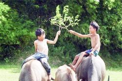 Kí ức tháng Bảy