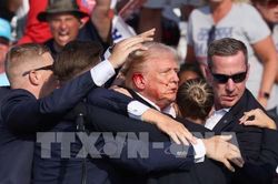 Cựu Tổng thống Mỹ Donald Trump bị thương sau vụ nổ súng