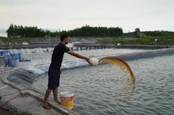 Quảng Ninh: Gỡ 'điểm nghẽn' trong hỗ trợ vốn sản xuất