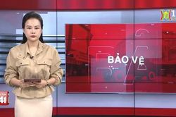Bản tin 141 | 14/07/2024