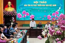 Nâng tầm giá trị sen Hà Nội (kỳ 1): Từ sen bách diệp Tây Hồ…
