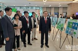Hội thảo RTD 2024, tìm hướng thúc đẩy hành động bền vững