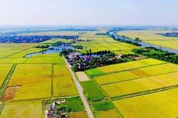 Phân loại đất theo quy định của Luật Đất đai 2024 như thế nào?