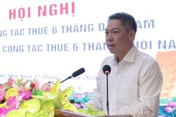 Triển khai nhiệm vụ công tác thuế 6 tháng cuối năm 2024