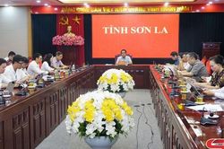 Phiên họp thứ 8 Ban Chỉ đạo cải cách hành chính của Chính phủ