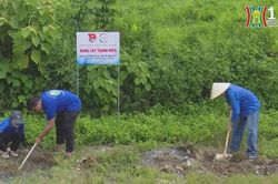 Mùa hè tình nguyện vì cộng đồng