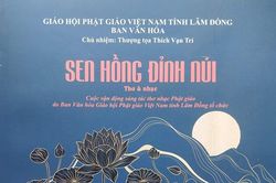 Non ngàn trổ đóa sen hồng