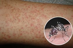 Hà Nội ghi nhận thêm 11 ổ dịch sốt xuất huyết trong một tuần