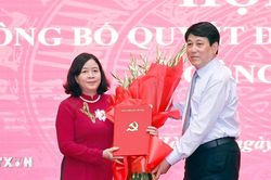 Bà Bùi Thị Minh Hoài giữ chức Bí thư Thành ủy Hà Nội