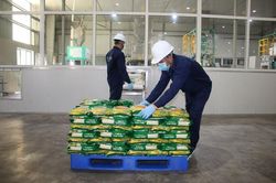 Triển khai nhiều giải pháp nâng tầm Chỉ số Xanh cấp tỉnh năm 2024