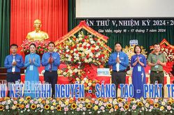 Đại hội đại biểu Hội LHTN Việt Nam huyện Gia Viễn lần thứ V