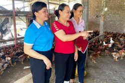 Nhờ vốn ngân hàng 'người nghèo', nhiều hộ dân ổn định cuộc sống