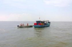 Cà Mau 'siết' kiểm soát, xử lý nghiêm tàu cá '3 không'