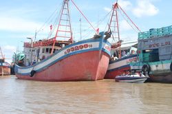 Bạc Liêu quyết tâm gỡ 'thẻ vàng' IUU