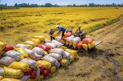 Điểm danh những mặt hàng Việt Nam xuất khẩu nhiều nhất sang Indonesia