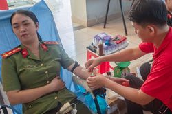 Tổ chức Ngày hội Hiến máu 'Giọt hồng An Giang' và tôn vinh người hiến máu tiêu biểu tỉnh năm 2024