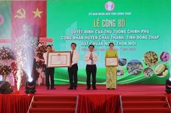 Huyện Châu Thành đón Bằng công nhận đạt chuẩn nông thôn mới năm 2023
