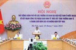 Kết nối trong và ngoài nước để tận dụng mọi cơ hội hợp tác phát triển