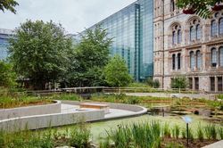 Cuộc du hành qua… 3 tỷ năm tại London