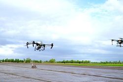 Kiên Giang khởi động trồng lúa chất lượng cao, phát thải thấp gắn với tăng trưởng xanh