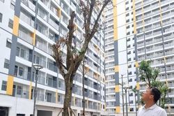 Đề xuất cho người mua NƠXH vay với lãi suất 4,8%/năm: Cơ hội lớn cho công nhân, người thu nhập thấp