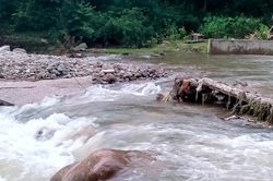 Tương Dương thiệt hại nặng do mưa lớn