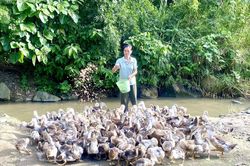 Hỗ trợ phụ nữ phát triển toàn diện, xây dựng gia đình ấm no
