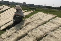 Hà Nội đẩy mạnh sản xuất sạch hơn qua các giải pháp quản lý nội vi