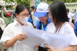 Đại học Đà Nẵng công bố điểm sàn tuyển sinh 2024