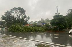 Bão số 2 đổ bộ: Quảng Ninh, Hải Phòng rốt ráo ứng phó