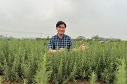 CEO Kiều Đình Lương - Phát triển sản phẩm thảo dược bền vững phải đi từ phát triển vùng trồng