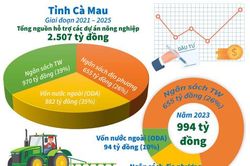 Đồng bằng sông Cửu Long: Thách thức, thời cơ và vận hội mới - Bài cuối: Hành động kịp thời, mở ra vận hội mới