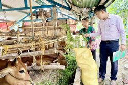 'Kim chỉ nam' cho tín dụng chính sách ở Quảng Ngãi