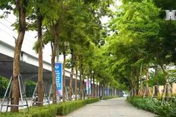Đường Phạm Văn Đồng xanh mát và hiện đại