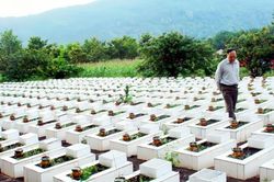 'Những mùa Xuân bất diệt, tạc hình núi sông'