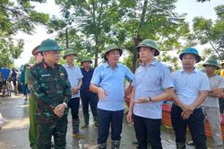 Huyện Chương Mỹ cần có giải pháp đối phó với 'lũ rừng ngang'