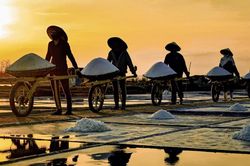 Dự báo thời tiết Nghệ An ngày 27/7