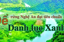 Để rừng Nghệ An đạt tiêu chuẩn Danh lục Xanh