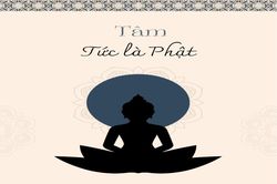 Luận bàn về 'Tâm tức là Phật'