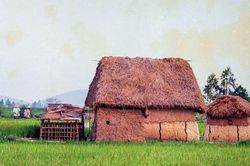 Cuộc sống sau ống kính: Nhà tranh vách đất